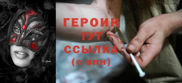 гашик Алексин