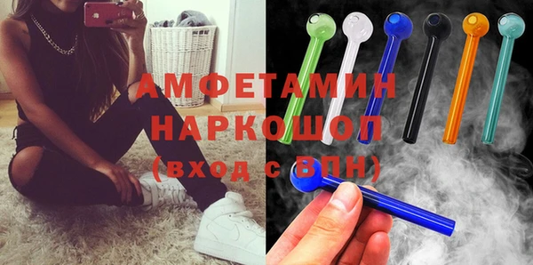 гашик Алексин