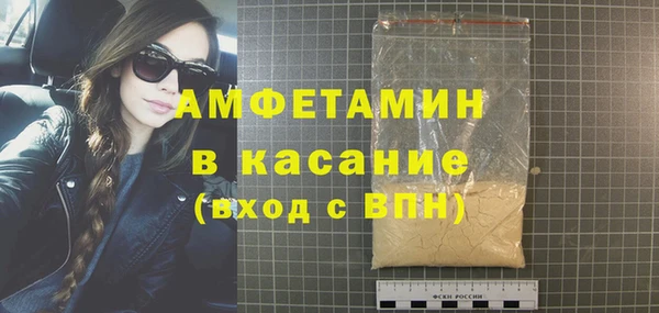 гашик Алексин